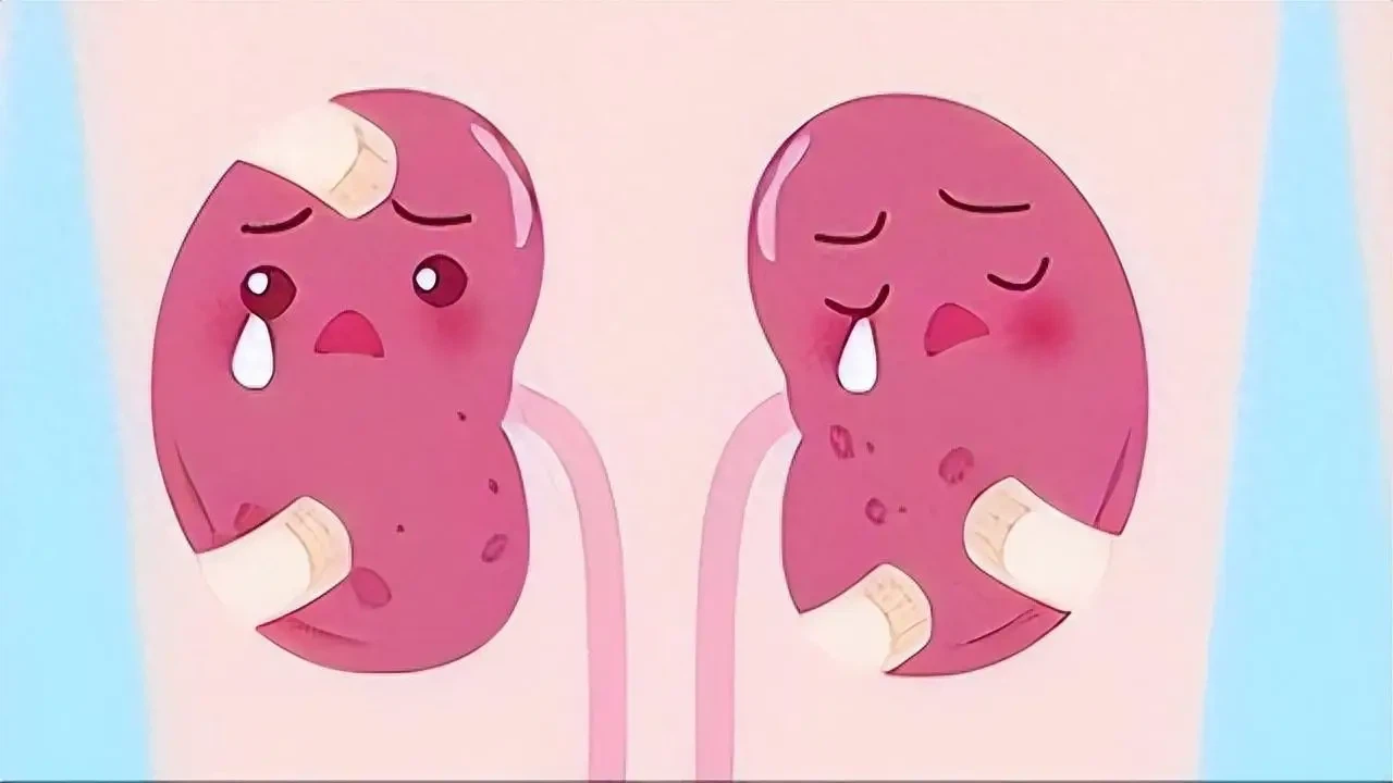 Tirzepatide के साथ पुरानी किडनी रोग के लिए एक नया सुबह